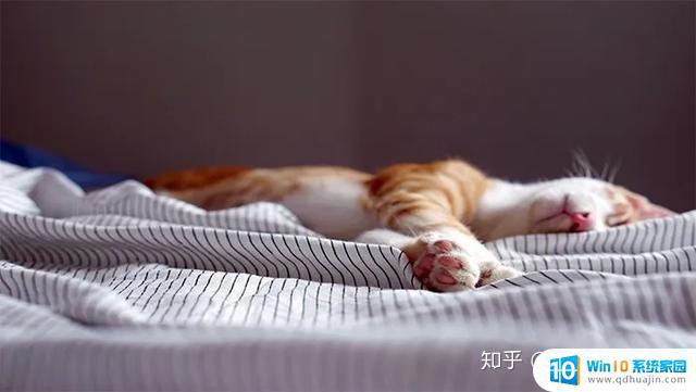 睡眠不不好 如何改善失眠症状