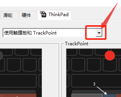 thinkpad怎么开启触摸板 thinkpad触摸板无法开启怎么办？