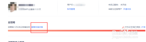 wps如何清理空间 WPS云空间清理方法