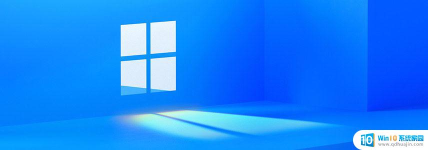 win11家庭版和win11专业版哪个好 Windows11家庭版与专业版功能对比